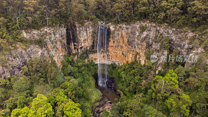 Purlingbrook Falls, Springbrook NP，靠近黄金海岸，澳大利亚